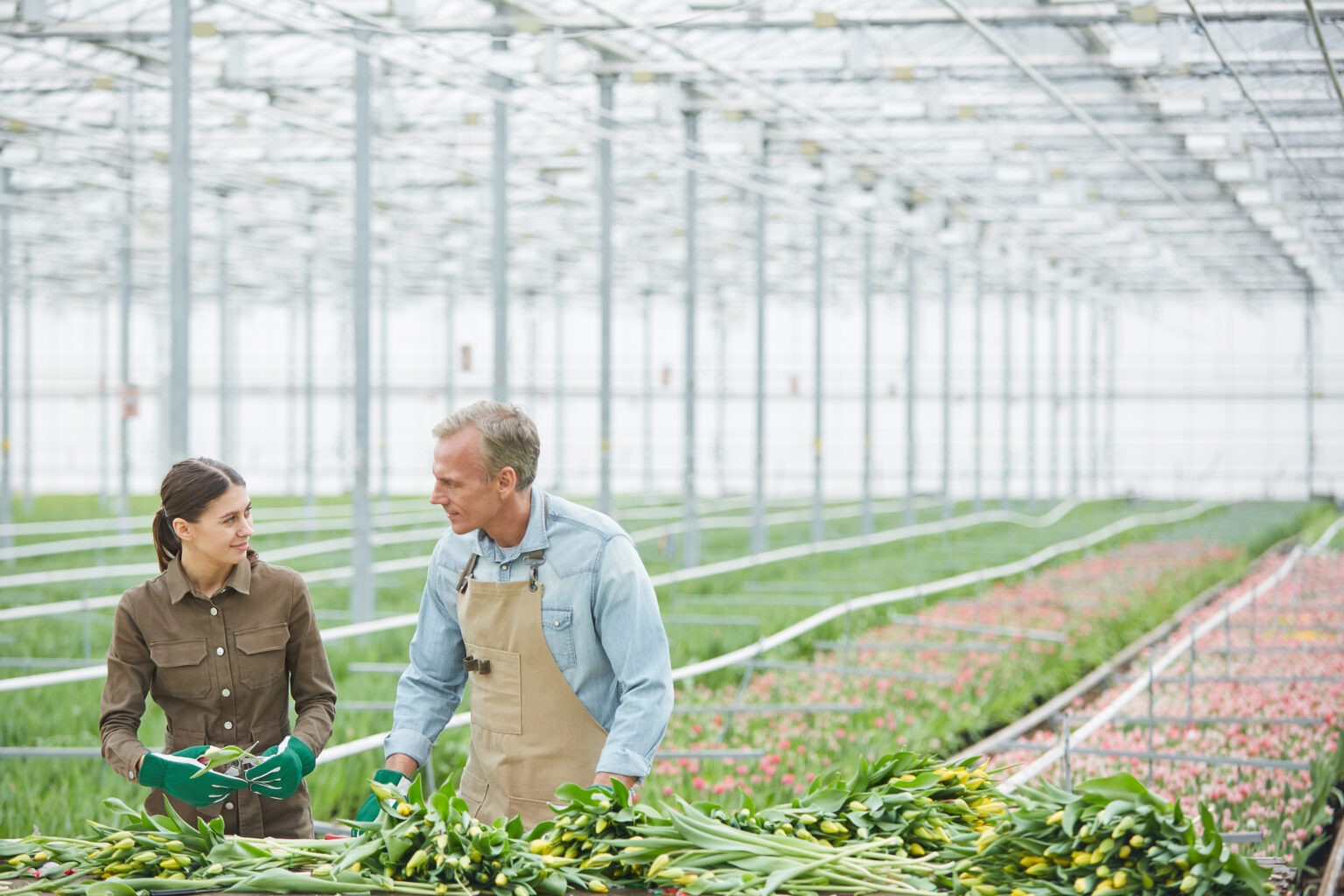 Understanding Digitalization in Business: What It Means and Why It ...